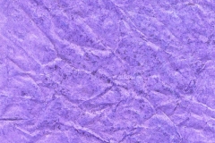 Abalone