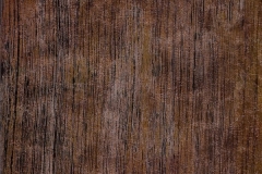 Amberwood Amberwood