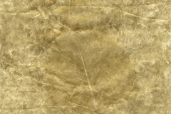 Aspen