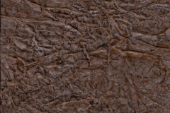Eagle Rock