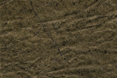 Forest Floor