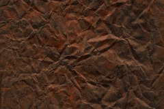 Kings Robe