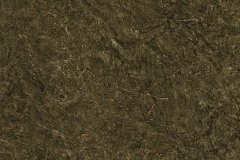 Olive Shadow