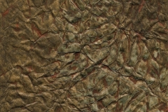 Rustic Fern