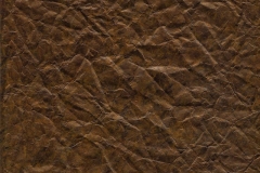 Sandstorm